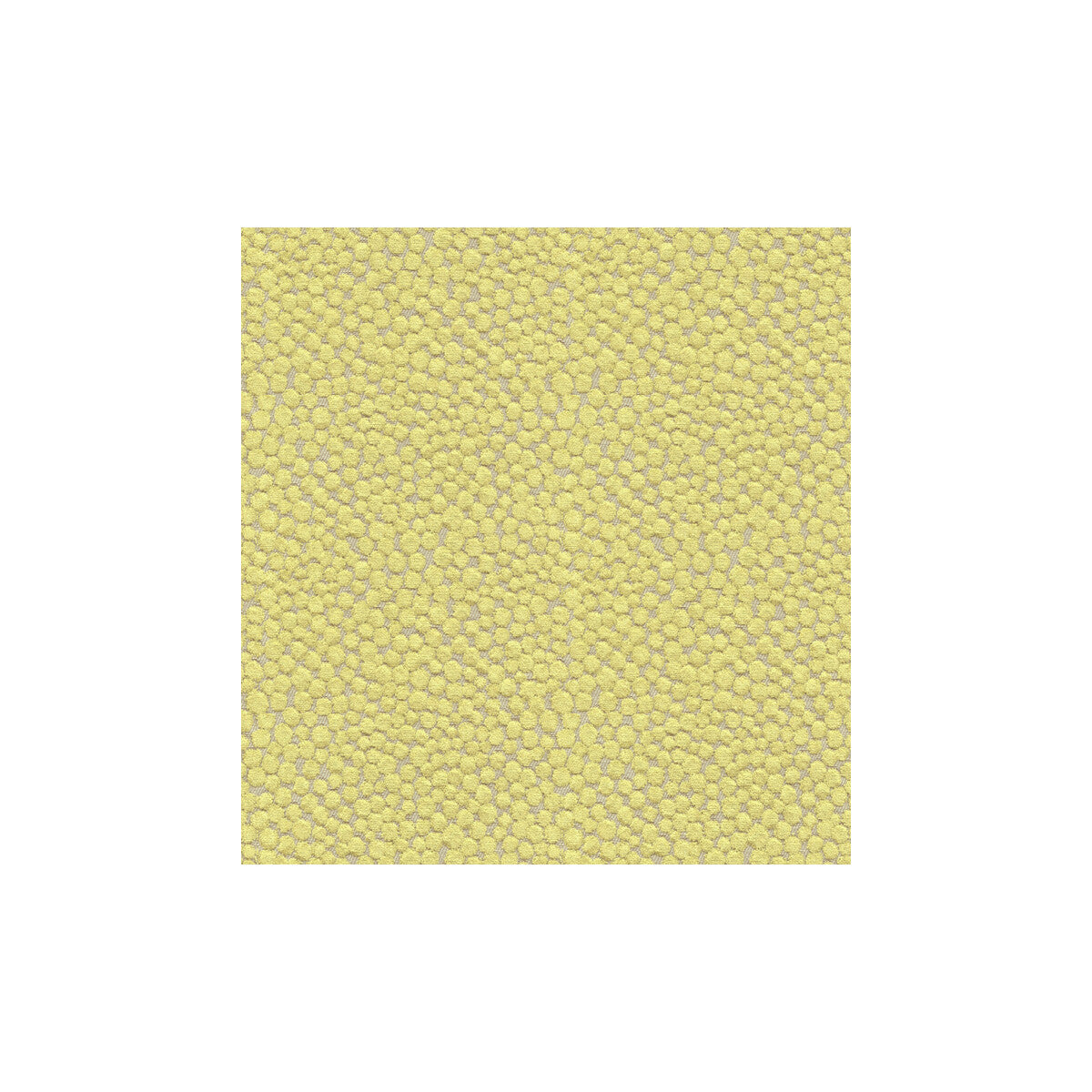 KRAVET COUTURE 32972.323.0 POLKA DOT PLUSH WASABI Fabric - Eade's Wallpaper