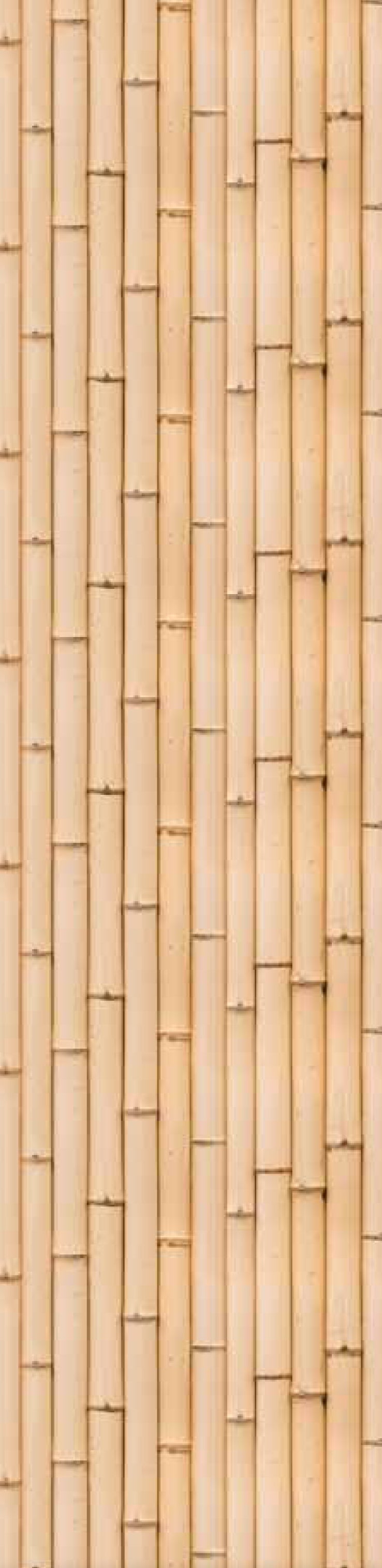 Eijffinger 330271 Bambu Beige Bamboo Reeds