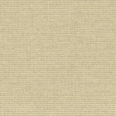 KRAVET SMART 33027.116.0 KRAVET SMART 33027-116 Fabric - Eade's Wallpaper