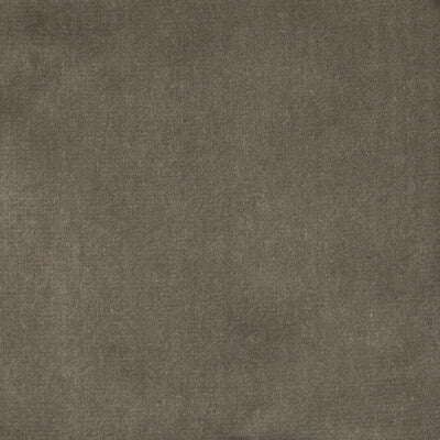 KRAVET COUTURE 33062.11.0 VELVET TREAT GREY Fabric - Eade's Wallpaper