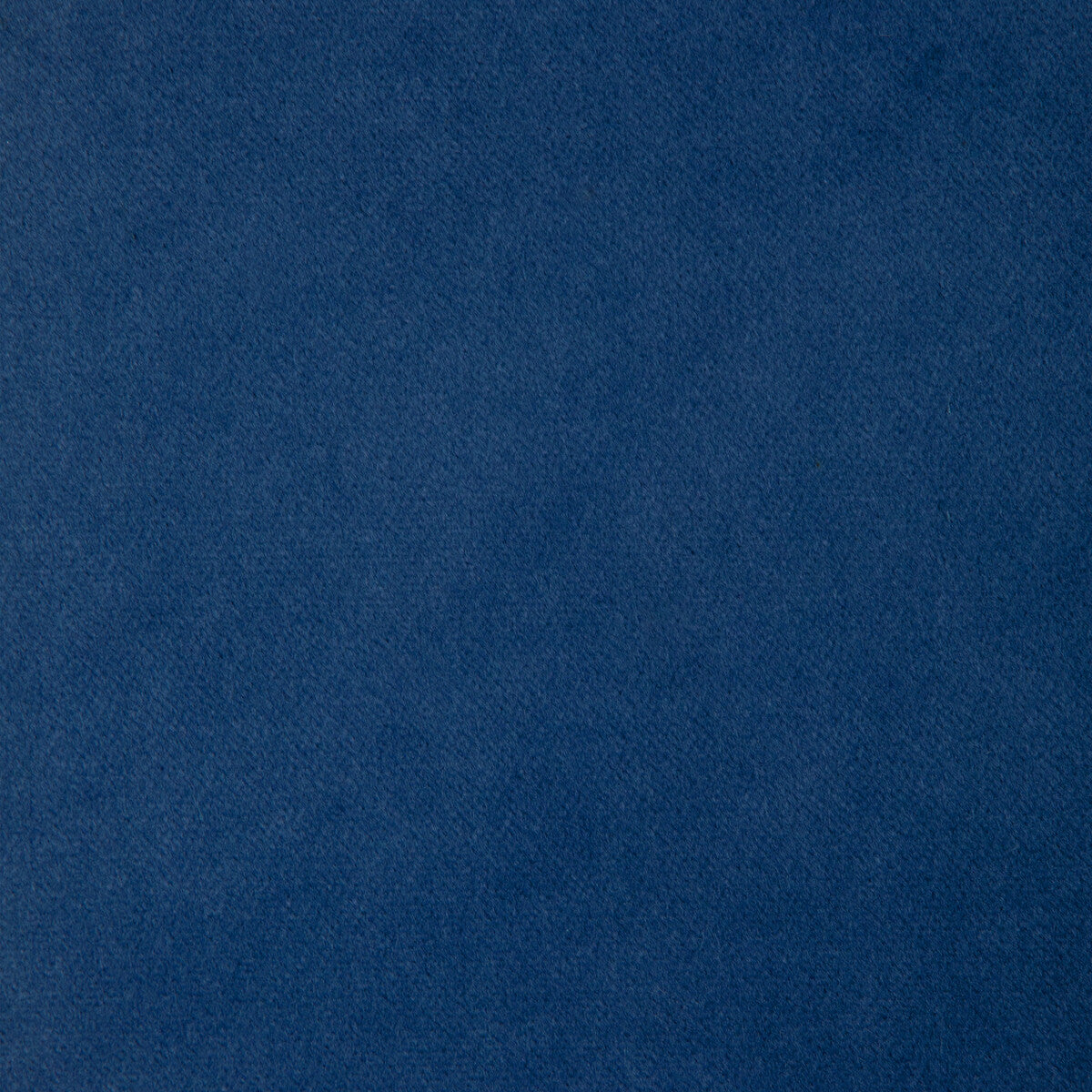 KRAVET BASICS 33299.155.0 KRAVET BASICS 33299-155 Fabric - Eade's Wallpaper