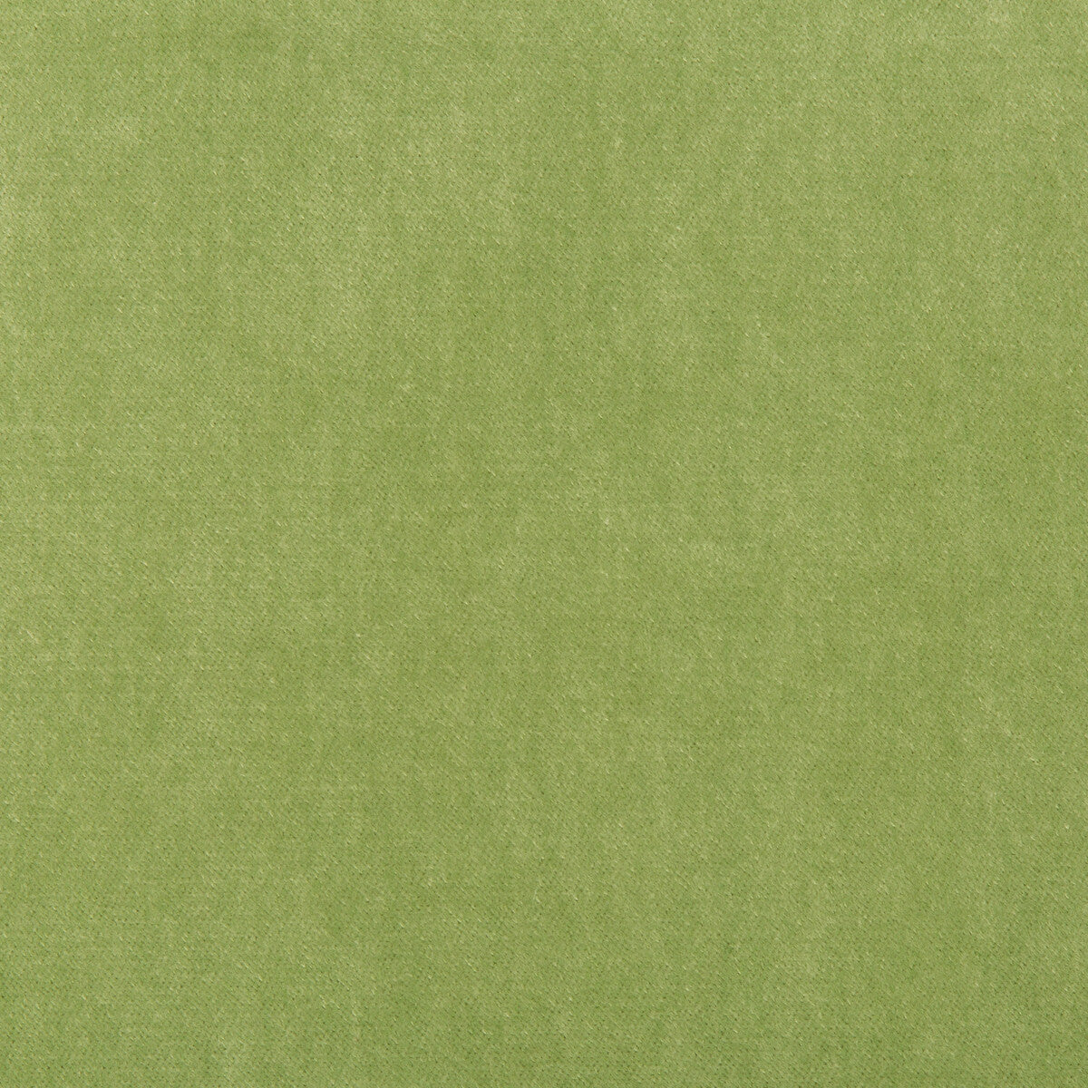 KRAVET BASICS 33299.303.0 KRAVET BASICS 33299-303 Fabric - Eade's Wallpaper