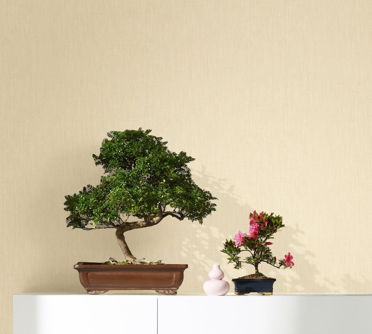 Eade's EN3332714-sample Beige