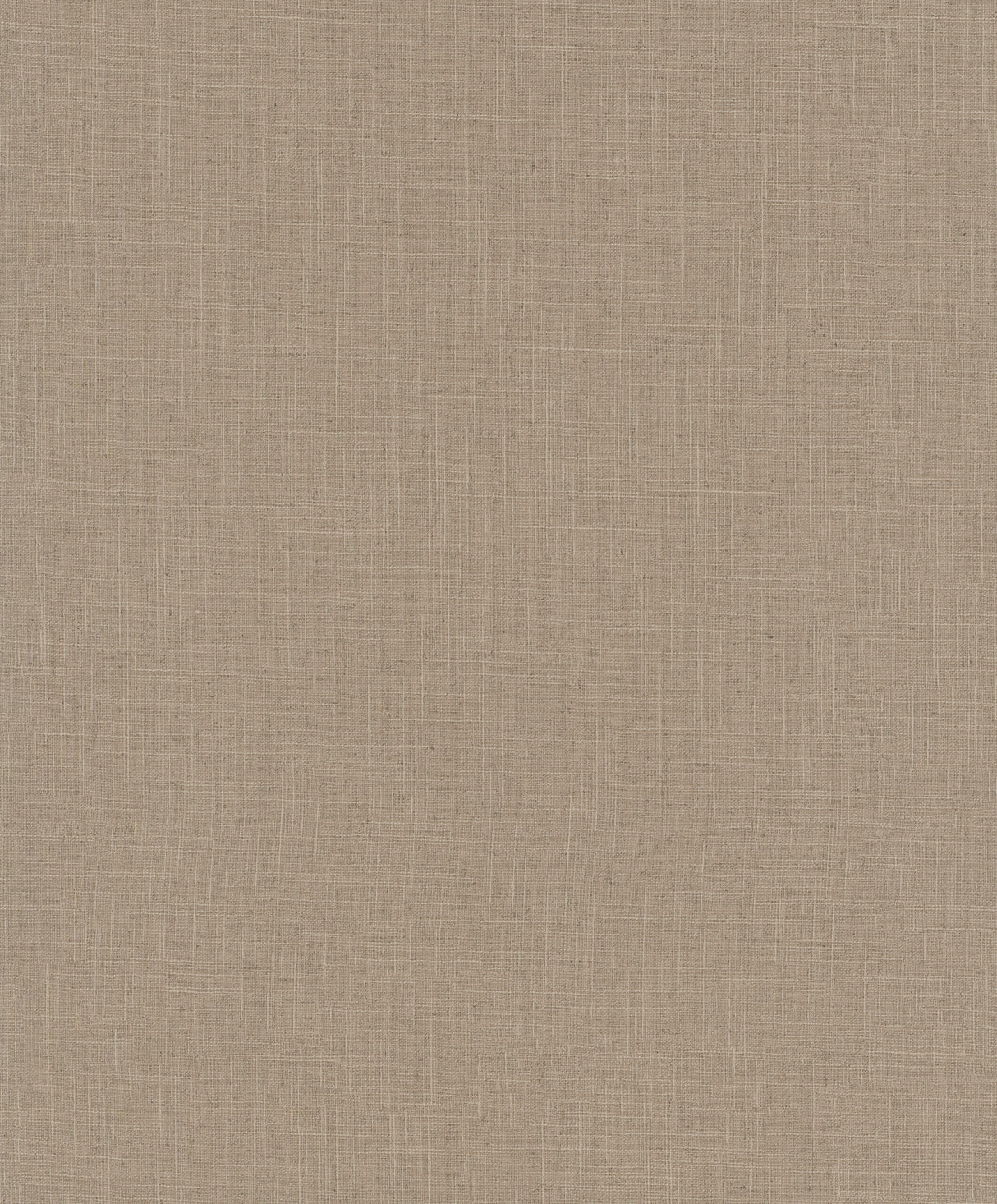 Galerie 33393 Brown Uni - Eade's Wallpaper