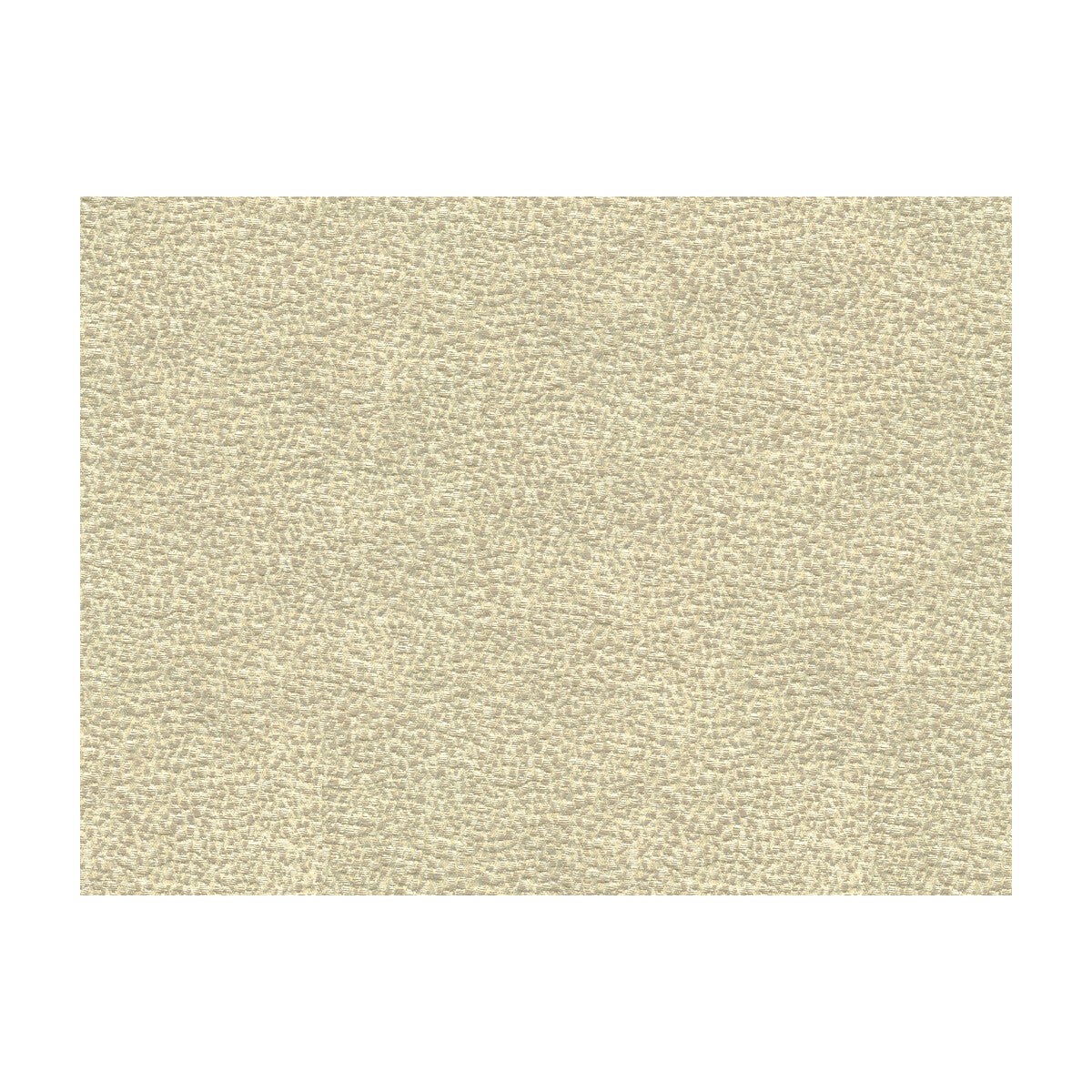 KRAVET COUTURE 33456.11.0 SHAGREEN LUXURY PLATINUM Fabric - Eade's Wallpaper