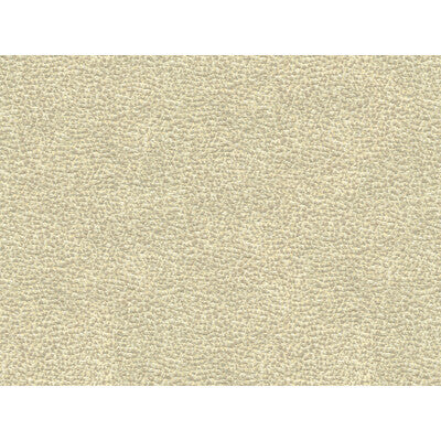 KRAVET COUTURE 33456.11.0 SHAGREEN LUXURY PLATINUM Fabric - Eade's Wallpaper