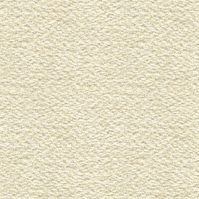 KRAVET COUTURE 33552.1.0 WEAVING A SPELL BLANC Fabric - Eade's Wallpaper
