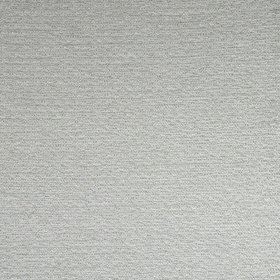 KRAVET COUTURE 33553.111.0 LOVE ME ICE Fabric - Eade's Wallpaper