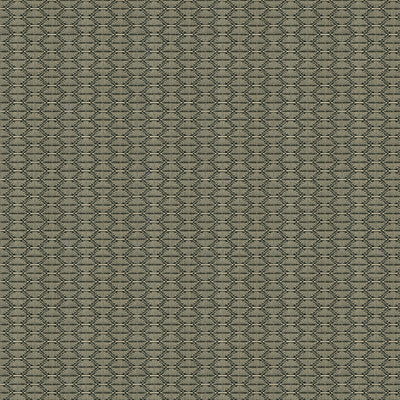 KRAVET CONTRACT 33862.1621.0 NZURI THUNDER Fabric - Eade's Wallpaper