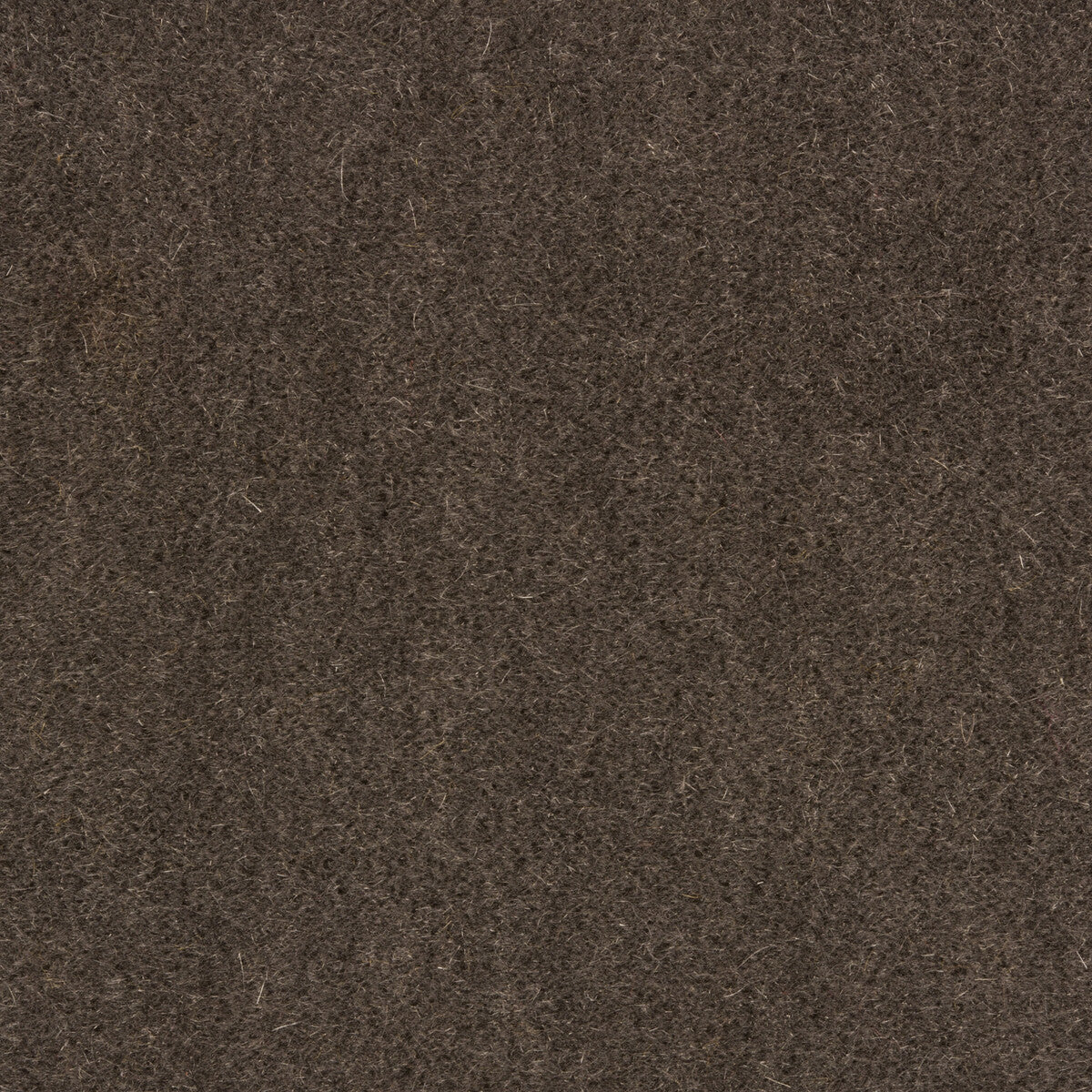 KRAVET COUTURE 34258.1121.0 WINDSOR MOHAIR PEWTER Fabric - Eade's Wallpaper