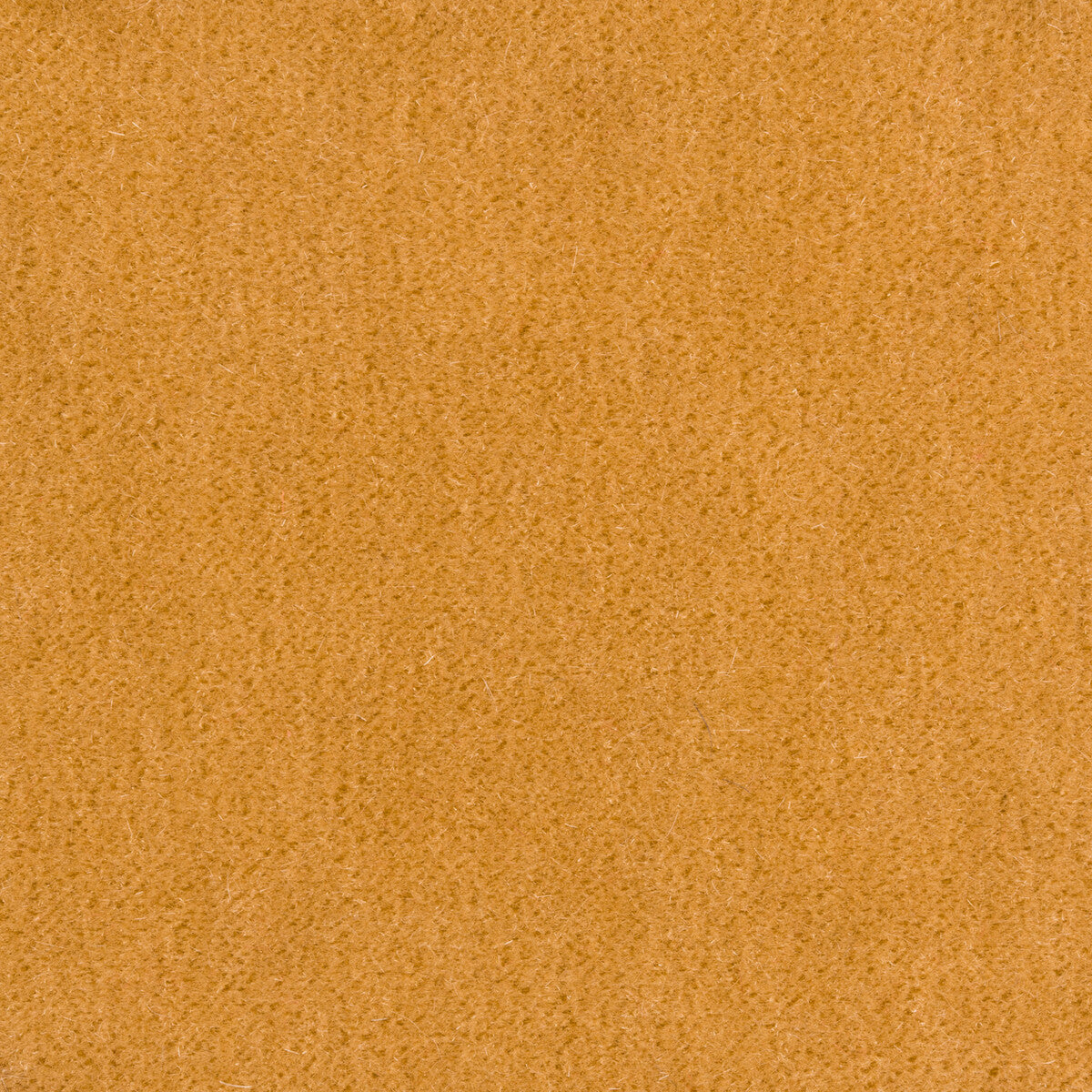 KRAVET COUTURE 34258.14.0 WINDSOR MOHAIR CASHEW Fabric - Eade's Wallpaper