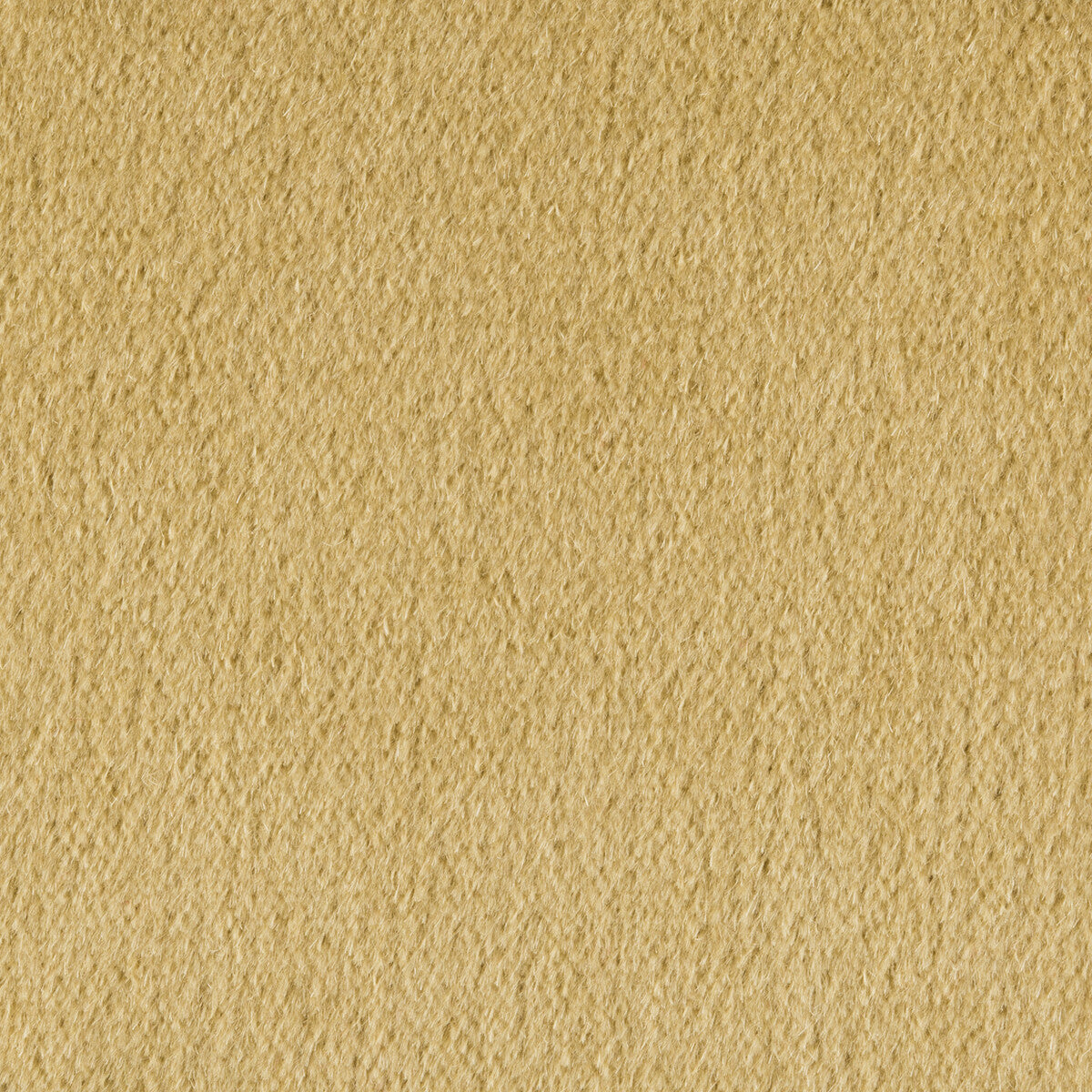 KRAVET COUTURE 34259.405.0 PLAZZO MOHAIR DESERT Fabric - Eade's Wallpaper