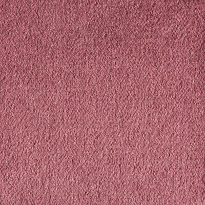 KRAVET COUTURE 34259.739.0 PLAZZO MOHAIR TULIPWOOD Fabric - Eade's Wallpaper