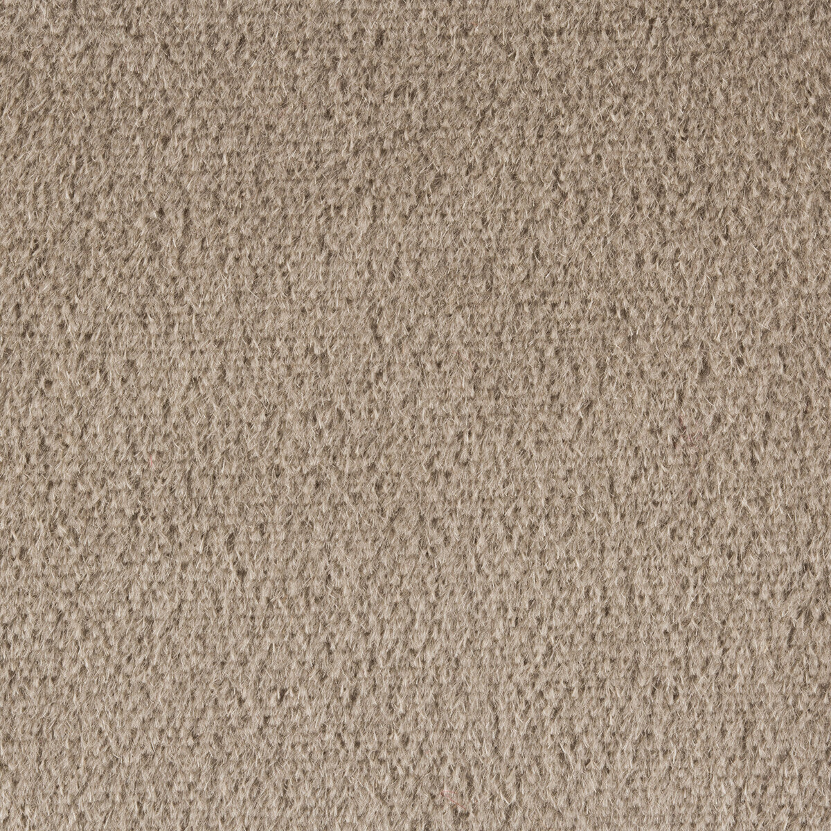 KRAVET COUTURE 34259.925.0 PLAZZO MOHAIR FAWN Fabric - Eade's Wallpaper