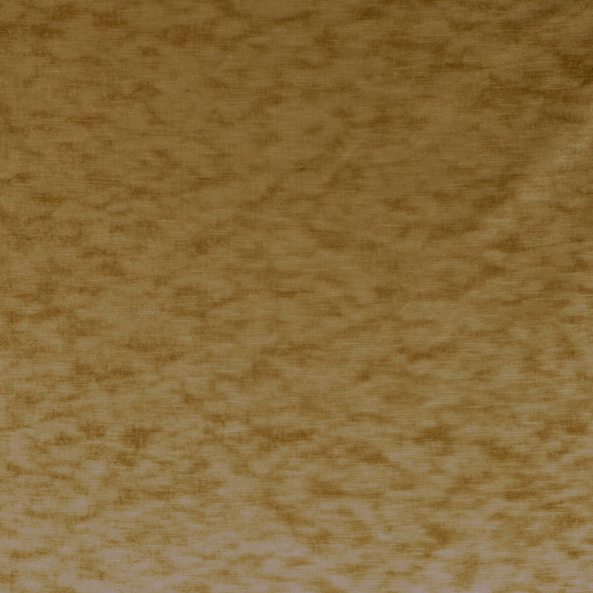 KRAVET COUTURE 34329.404.0 HIGH IMPACT OCHRE Fabric - Eade's Wallpaper
