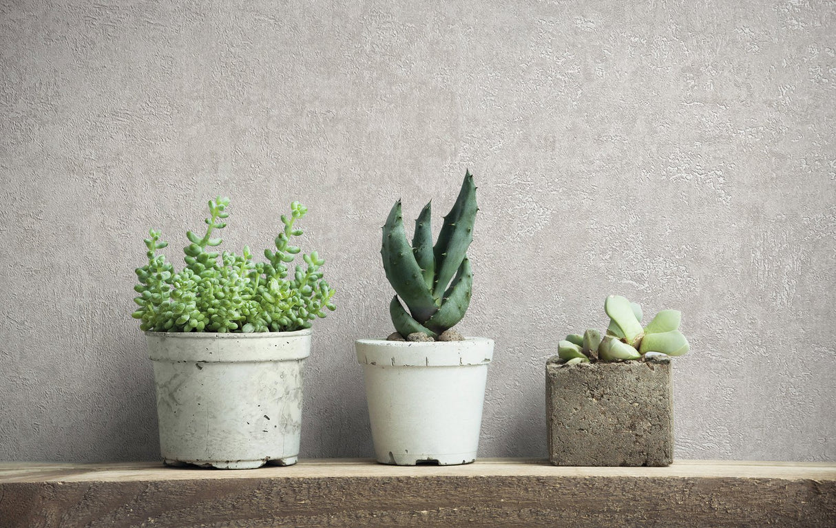 Eade's 34518-sample Silver Grey