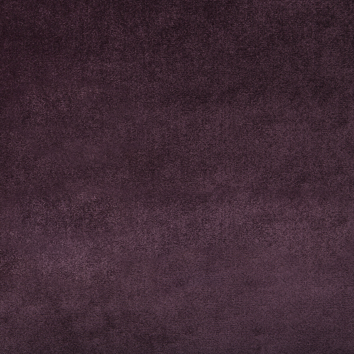 KRAVET COUTURE 34641.1010.0 DUCHESS VELVET PLUM Fabric - Eade's Wallpaper