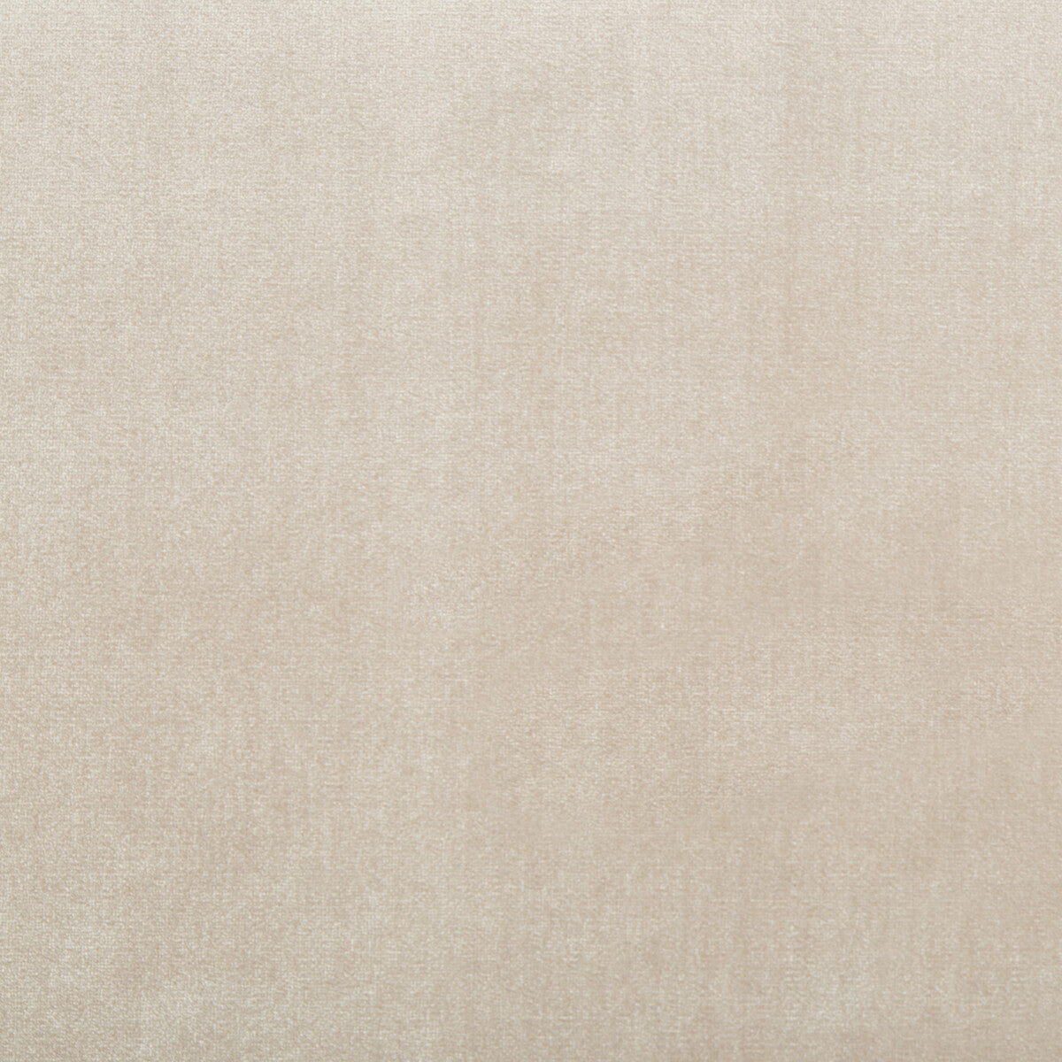KRAVET COUTURE 34641.16.0 DUCHESS VELVET ALMOND Fabric - Eade's Wallpaper