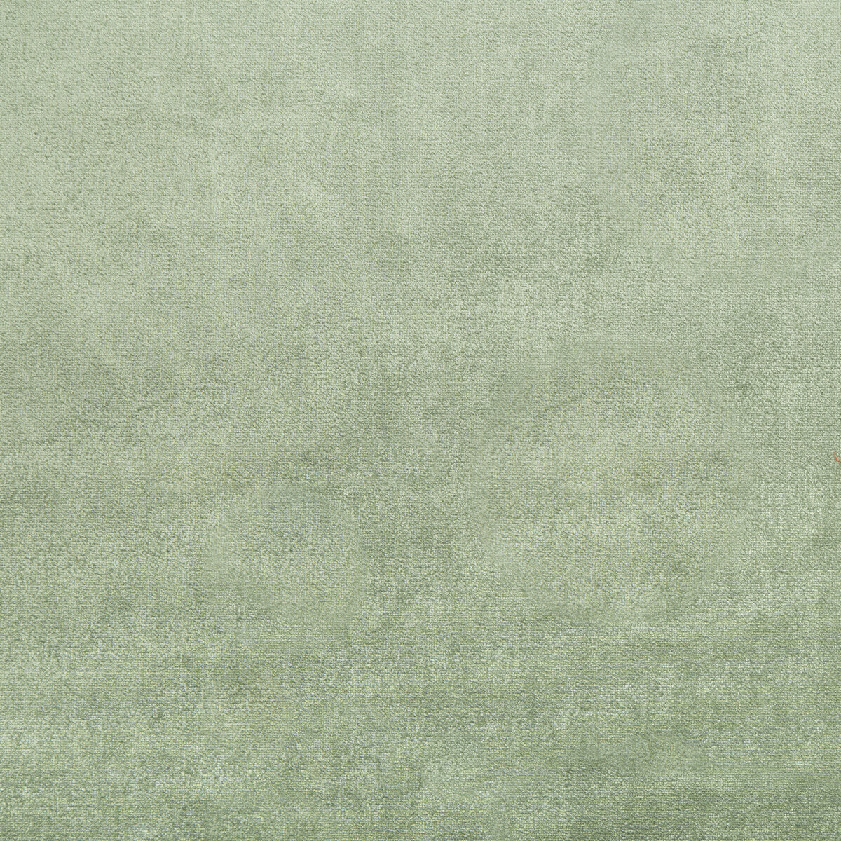 KRAVET COUTURE 34641.353.0 DUCHESS VELVET SAGE Fabric - Eade's Wallpaper