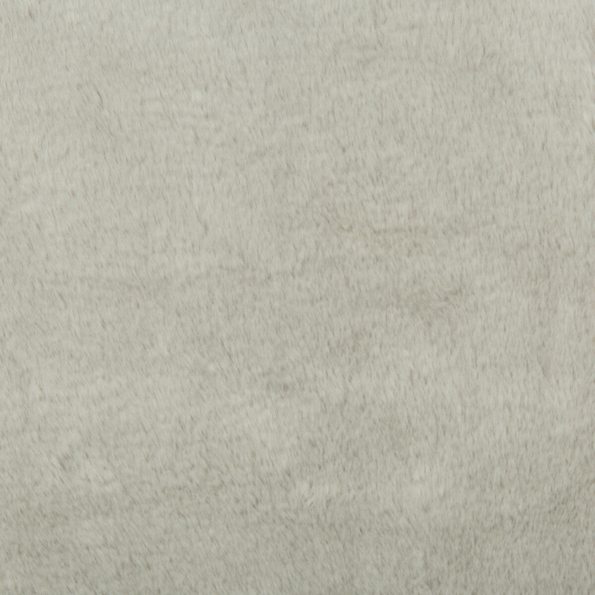 KRAVET BASICS 34642.11.0 KRAVET BASICS 34642-11 Fabric - Eade's Wallpaper