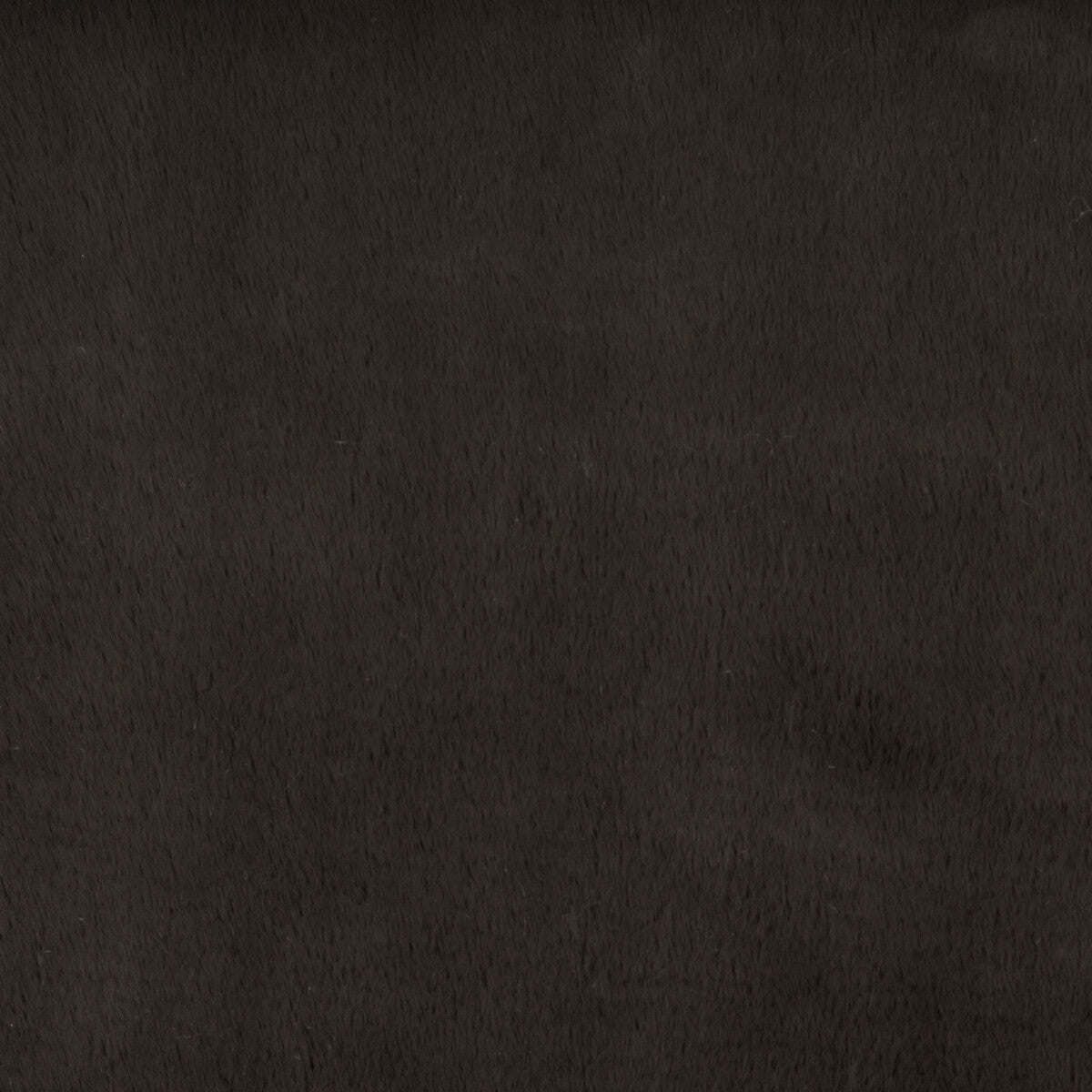 KRAVET BASICS 34642.6.0 KRAVET BASICS 34642-6 Fabric - Eade's Wallpaper