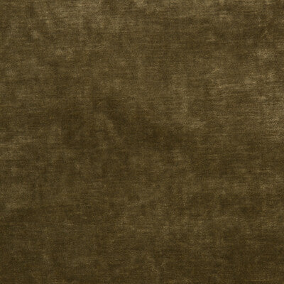 KRAVET COUTURE 34781.830.0 QUEEN'S VELVET GOLD Fabric - Eade's Wallpaper