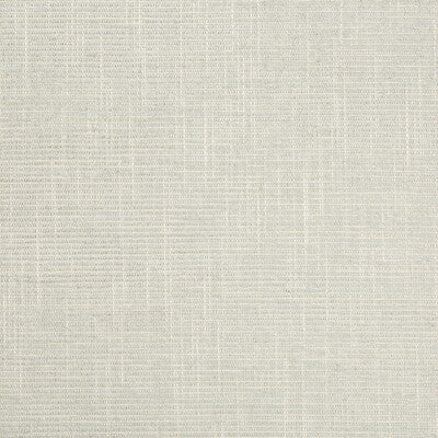 KRAVET COUTURE 34842.11.0 MINERALOGY CUMULUS Fabric - Eade's Wallpaper