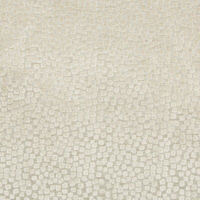 KRAVET DESIGN 34849.16.0 FLURRIES STONE Fabric - Eade's Wallpaper