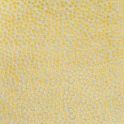 KRAVET DESIGN 34849.40.0 FLURRIES CITRINE Fabric - Eade's Wallpaper