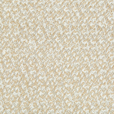 KRAVET COUTURE 34921.16.0 LACING CASHEW Fabric - Eade's Wallpaper