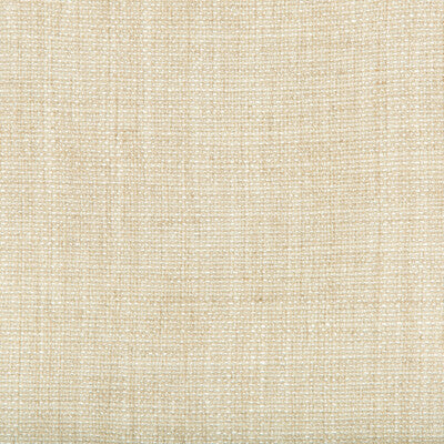 KRAVET BASICS 35189.1116.0 KRAVET BASICS 35189-1116 Fabric - Eade's Wallpaper