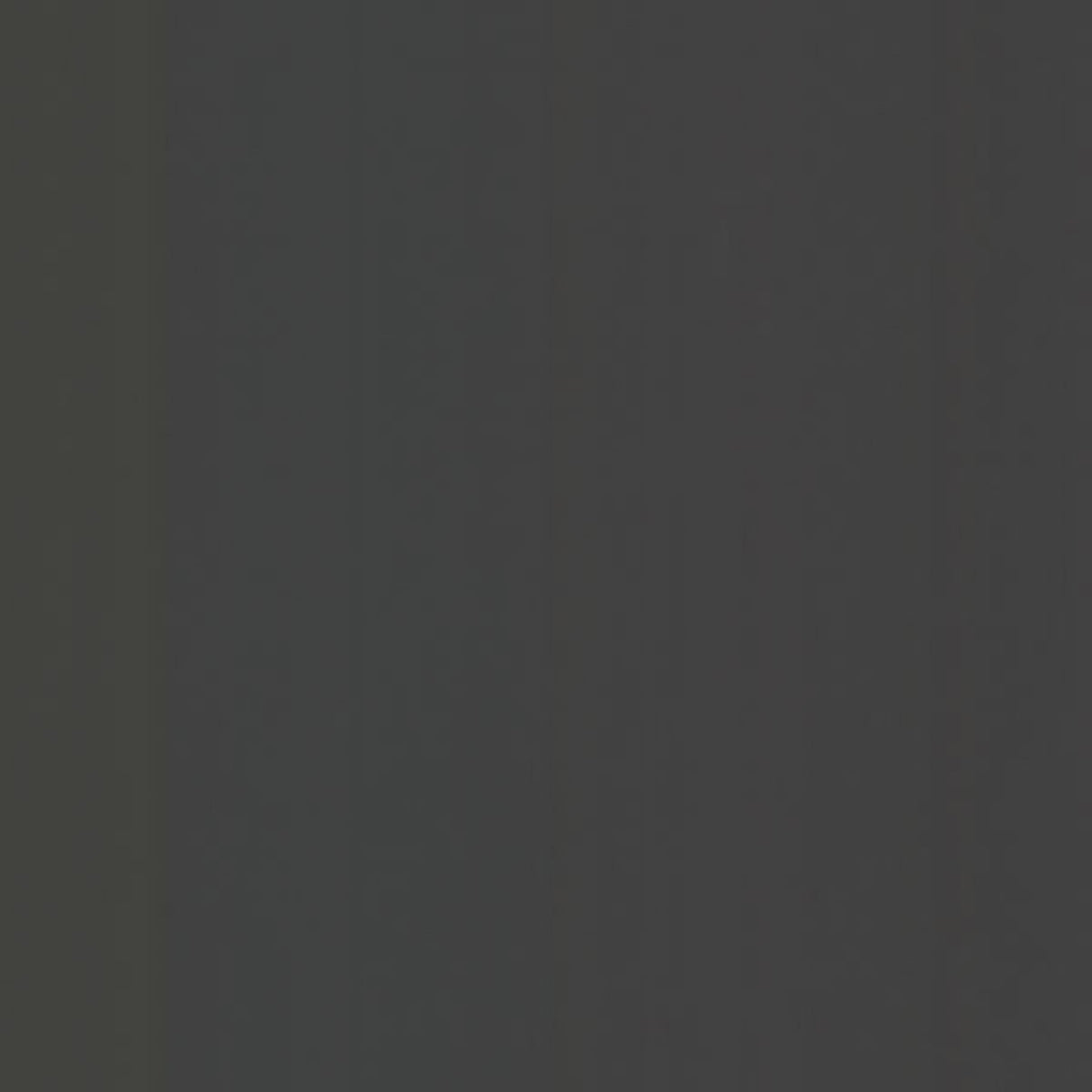 Eijffinger 353098 Amaliada Black Textured