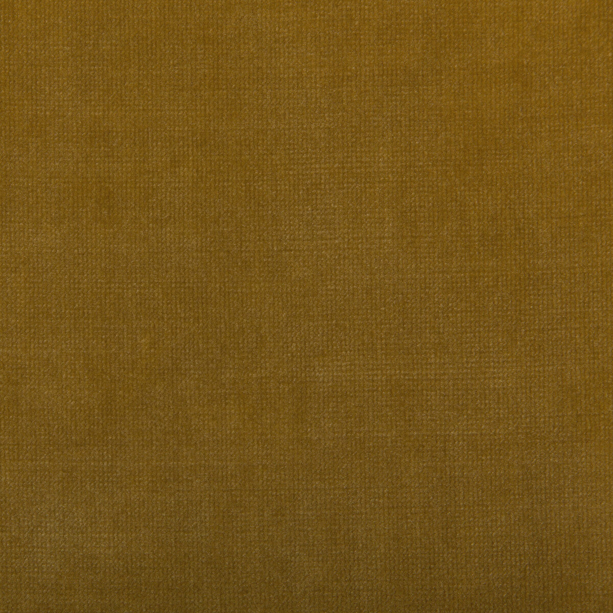 KRAVET SMART 35360.4.0 CHESSFORD GOLD Fabric - Eade's Wallpaper