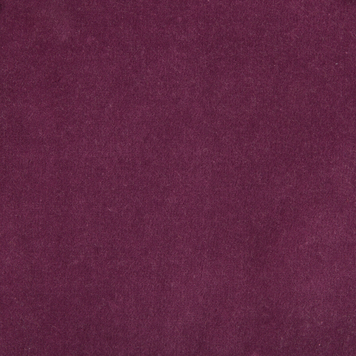 KRAVET DESIGN 35366.10.0 KRAVET DESIGN 35366-10 Fabric - Eade's Wallpaper