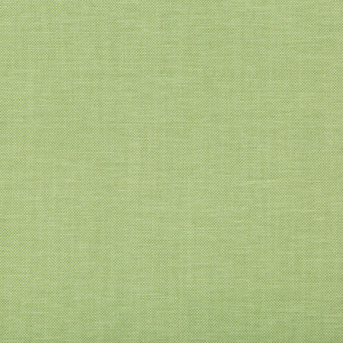 KRAVET BASICS 35543.13.0 OXFORDIAN LEAF Fabric - Eade's Wallpaper