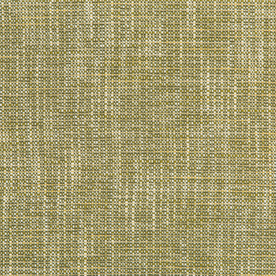 KRAVET CONTRACT 35866.314.0 RIVER PARK MEADOW Fabric - Eade's Wallpaper