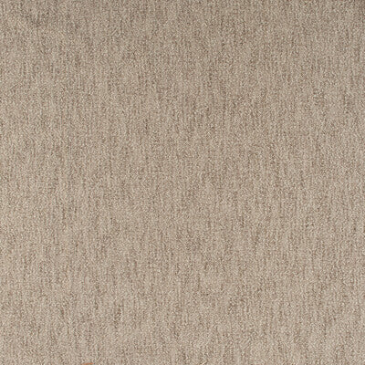 KRAVET BASICS 35901.106.0 PALOS VERDE BARK Fabric - Eade's Wallpaper