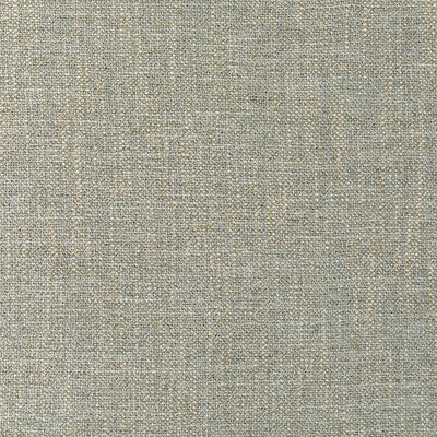 KRAVET COUTURE 35904.13.0 PASARO NATURAL Fabric - Eade's Wallpaper