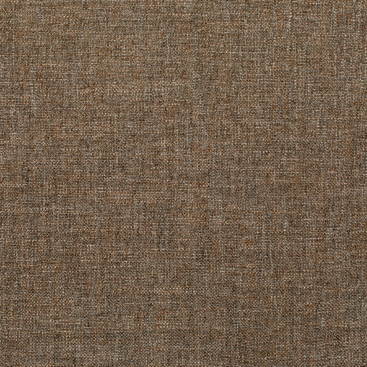 KRAVET COUTURE 35904.16.0 PASARO VICUNA Fabric - Eade's Wallpaper