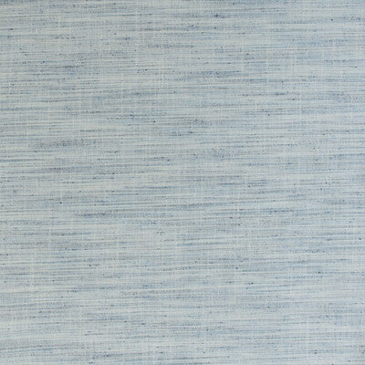 KRAVET DESIGN 35911.15.0 GROUNDCOVER CHAMBRAY Fabric - Eade's Wallpaper