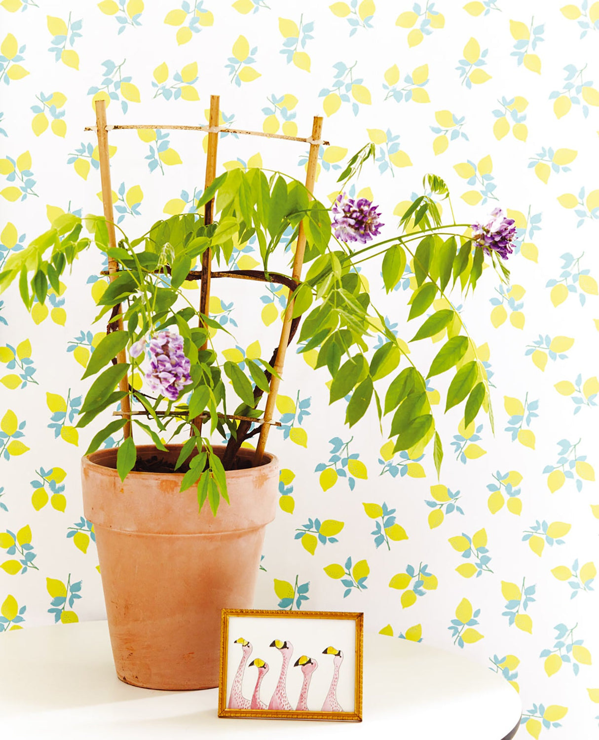 Eijffinger 359162 Citron Off-White Juicy Lemon Wallpaper