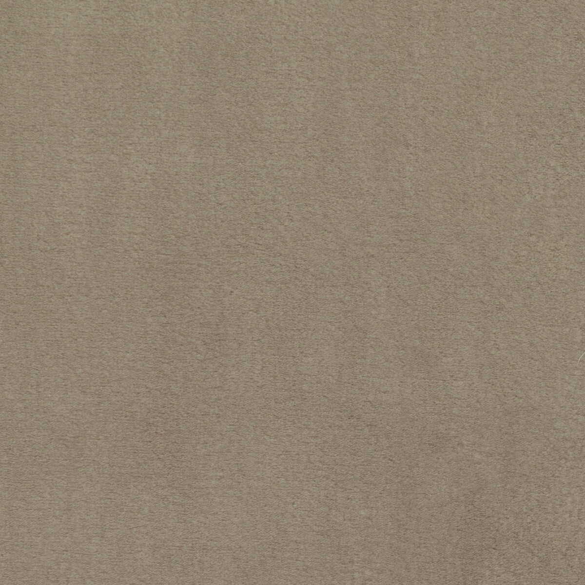 KRAVET BASICS 36061.16.0 PLUSHILLA BEIGE Fabric - Eade's Wallpaper