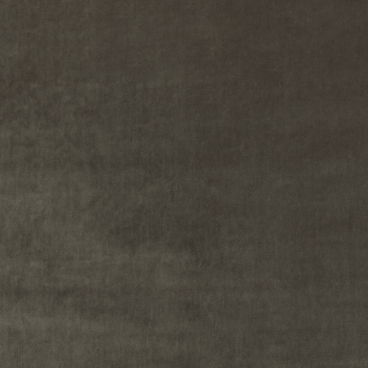 KRAVET COUTURE 36063.106.0 NEW ELEGANCE TRUFFLE Fabric - Eade's Wallpaper