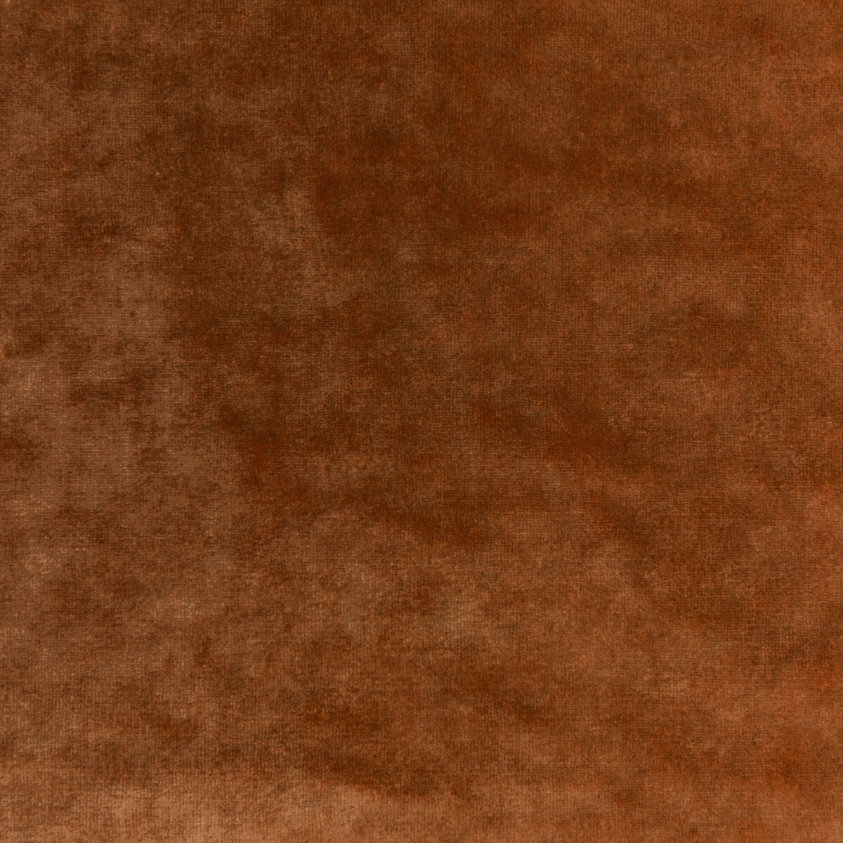 KRAVET COUTURE 36064.24.0 REGAL VELVET GINGER Fabric - Eade's Wallpaper