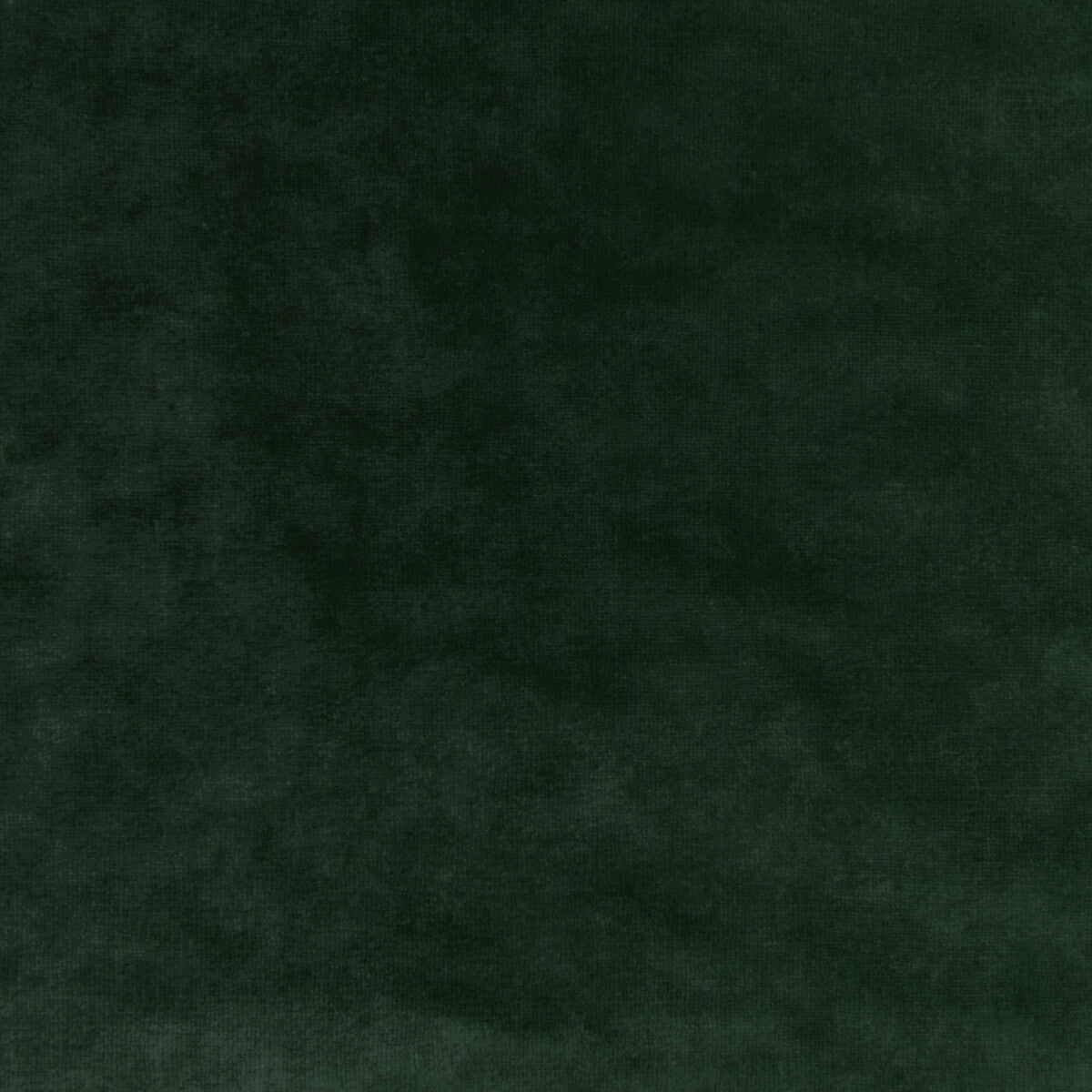 KRAVET COUTURE 36064.30.0 REGAL VELVET SAGE Fabric - Eade's Wallpaper