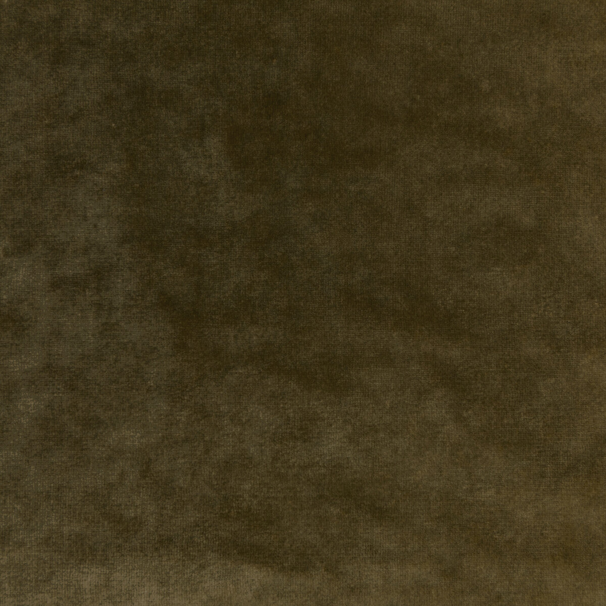 KRAVET COUTURE 36064.303.0 REGAL VELVET OLIVE Fabric - Eade's Wallpaper