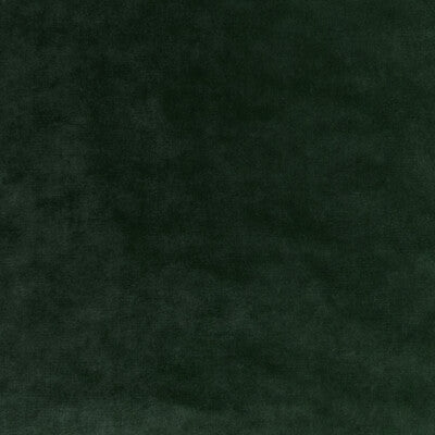 KRAVET COUTURE 36064.30.0 REGAL VELVET SAGE Fabric - Eade's Wallpaper