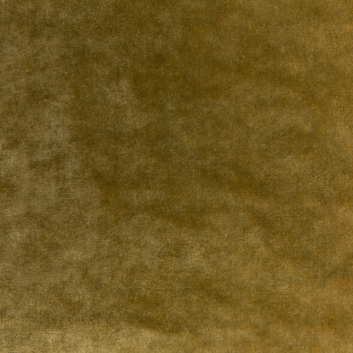 KRAVET COUTURE 36064.4.0 REGAL VELVET OCHRE Fabric - Eade's Wallpaper