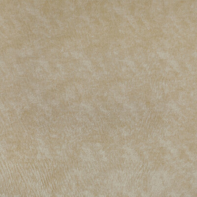 KRAVET COUTURE 36065.116.0 TRIUMPHANT CREME Fabric - Eade's Wallpaper