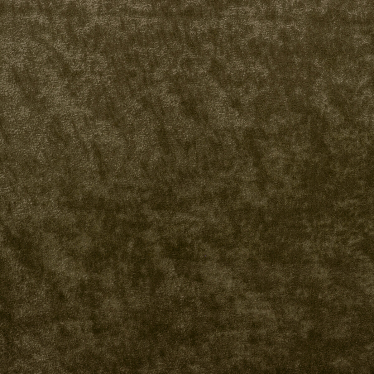 KRAVET COUTURE 36065.30.0 TRIUMPHANT OLIVE Fabric - Eade's Wallpaper